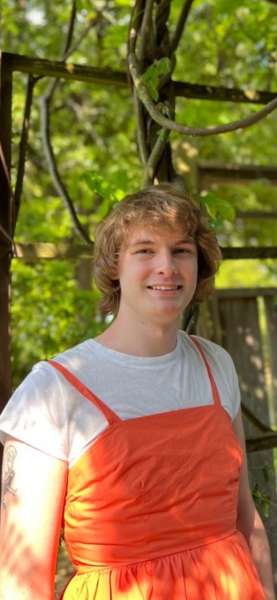Flor in nature in an orange dress.