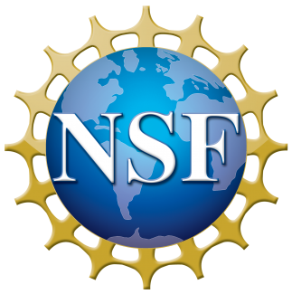 ROML linguists awarded NSF grant